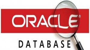 Oracle Server Nedir